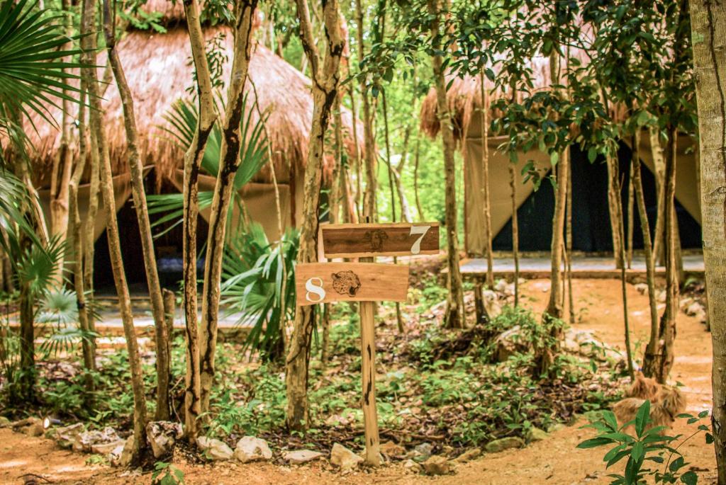 Akumal Natura Glamping Cabanas