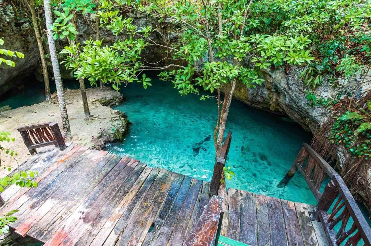 Swim in a cenote in Playa del Carmen