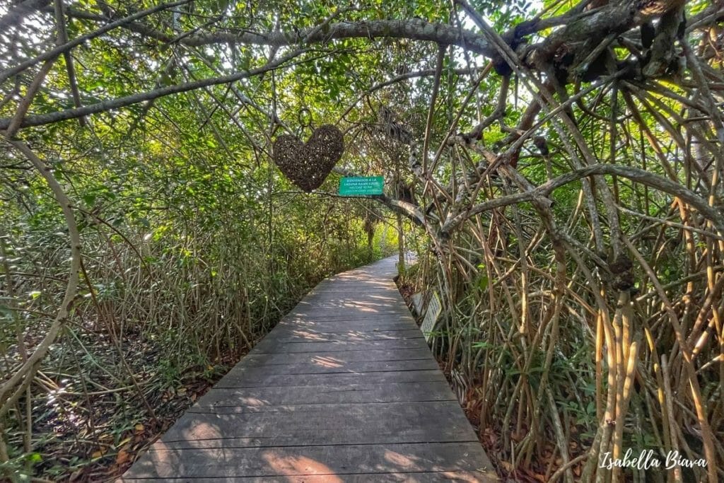 How to get to Kaan Luum Lagoon in Tulum