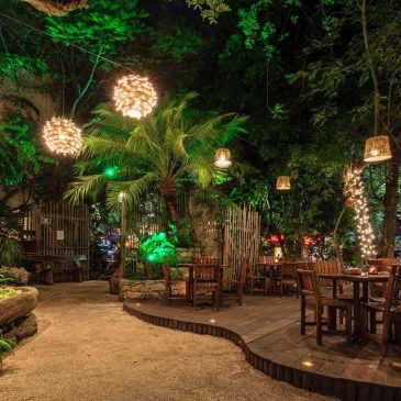 The Best Restaurants in Playa del Carmen