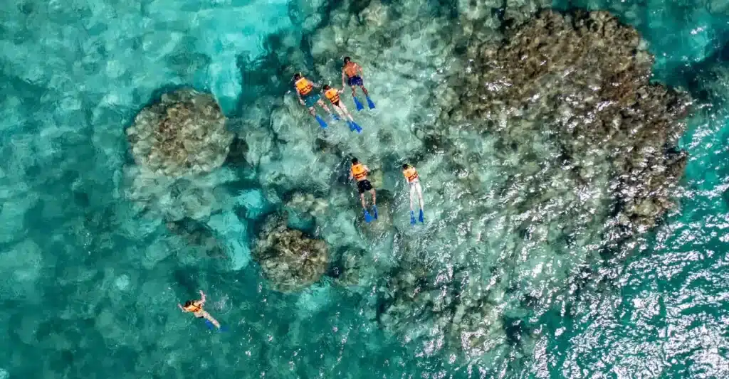 Snorkeling El Meco Reef Isla Mujeres