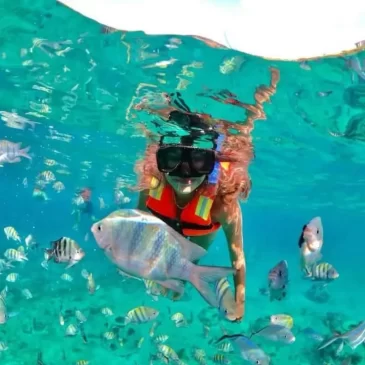 Cancun Snorkeling