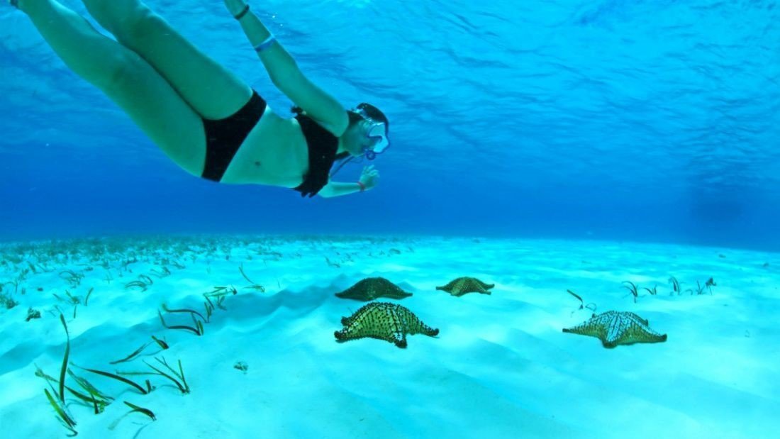 Snorkeling in Cozumel at El Cielo