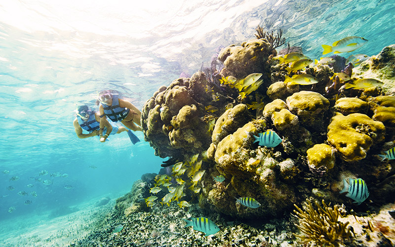 Snorkeling in Garrafon Park Isla Mujeres