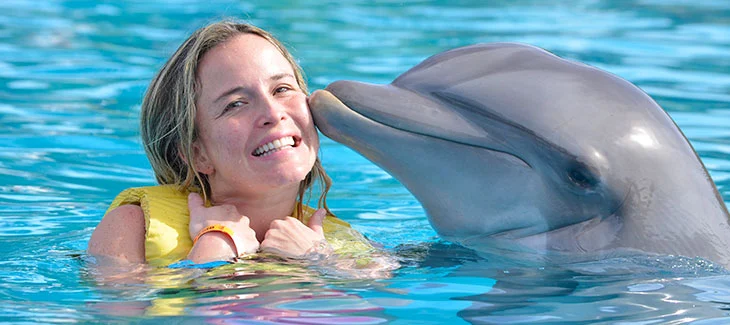 Swim with dolphins in Cancun