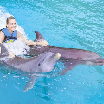 Swim with Dolphins in Cancun