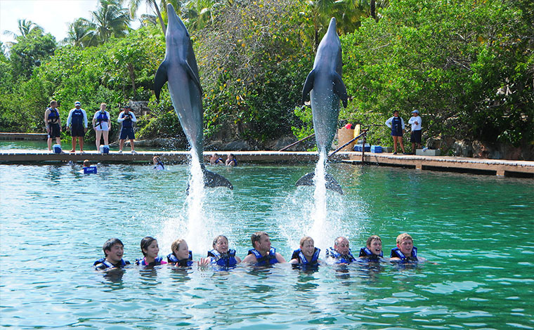 Swim with dolphins in Cancun at Xcaret Park