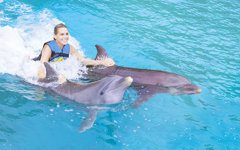 Swim with dolphins in Cancun