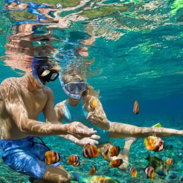 Where to snorkel in Isla Mujeres?