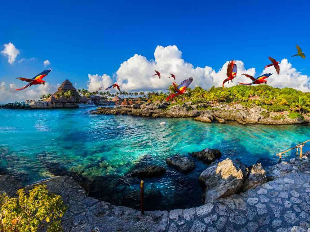 Visit Xcaret Park when in Cancun