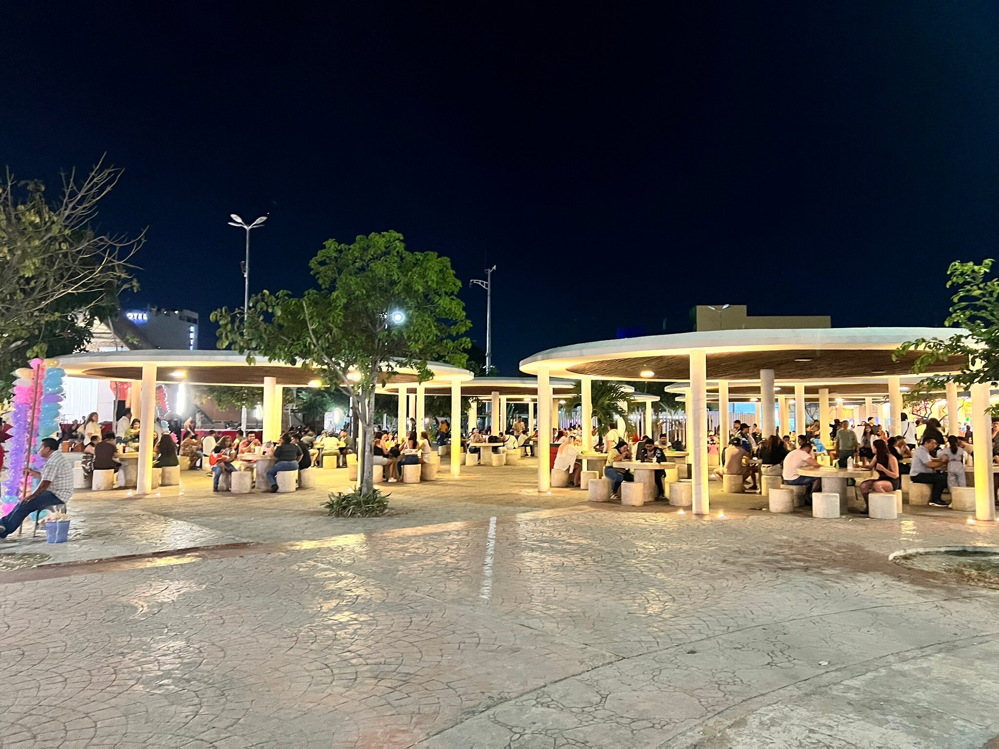 Dinner at Parque de las Palapas