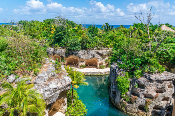 Nature-Immersed Riviera Maya Stay Nature-Immersed Riviera Maya Stay