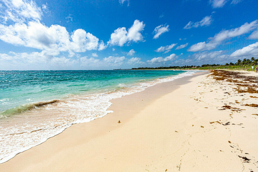 Playa Xcacel: The Turtle Sanctuary