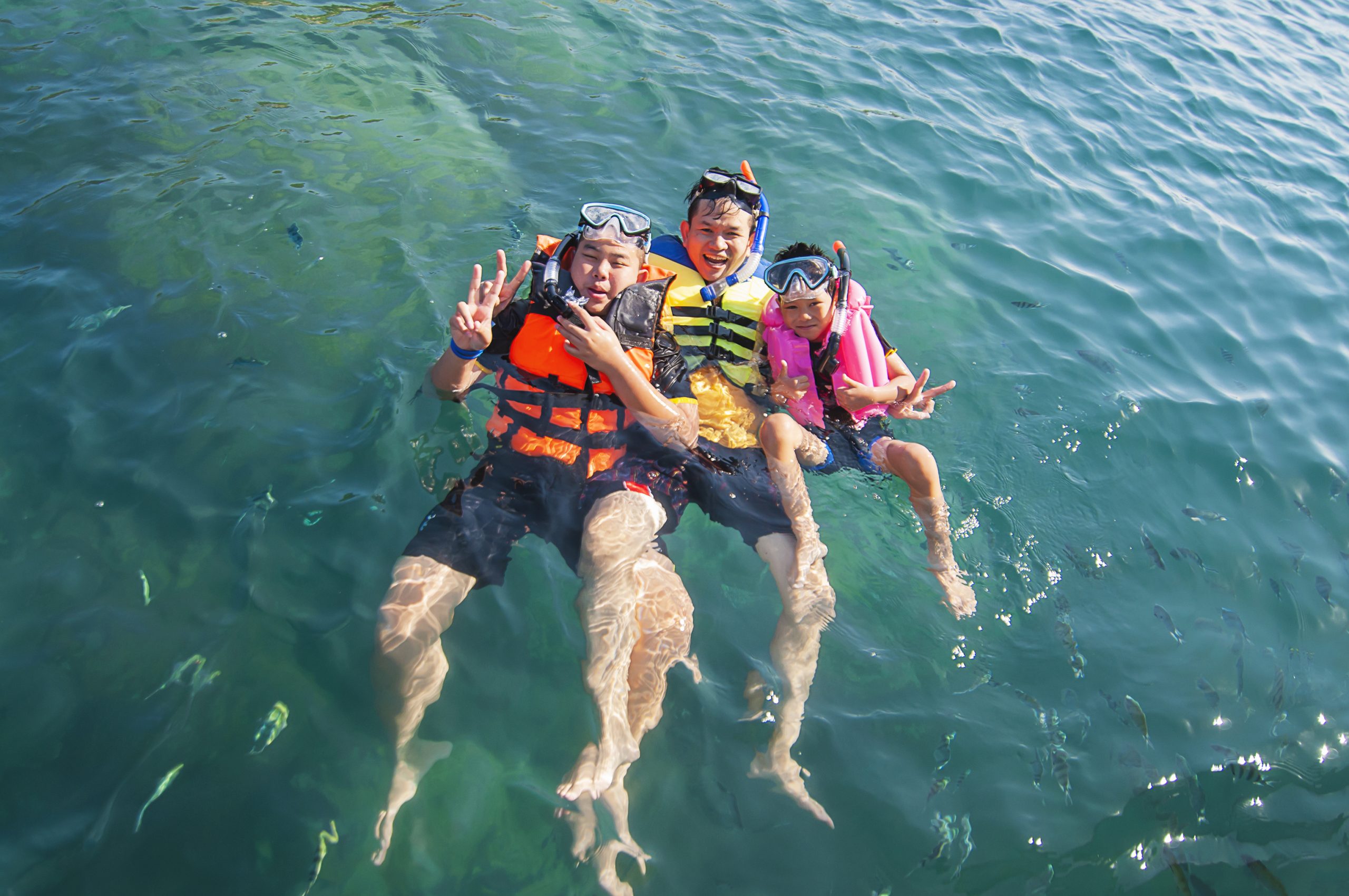 Take Advantage of Hidden Activities, Snorkel in Cancun Take Advantage of Hidden Activities, Snorkel in Cancun