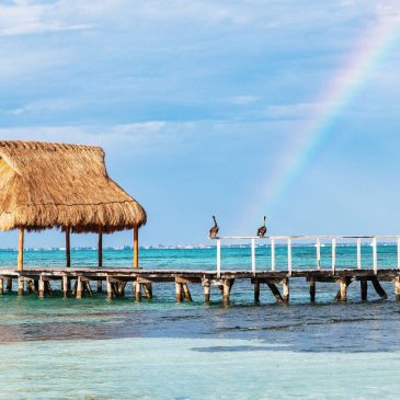 Local Secrets: Cancun Beaches the Average Tourist Never Sets Foot On