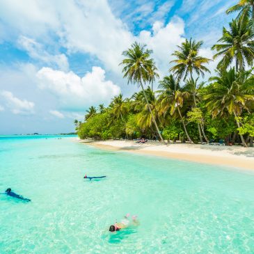 Hidden Gems of Cancun: Activities and Places Most Tourists Miss