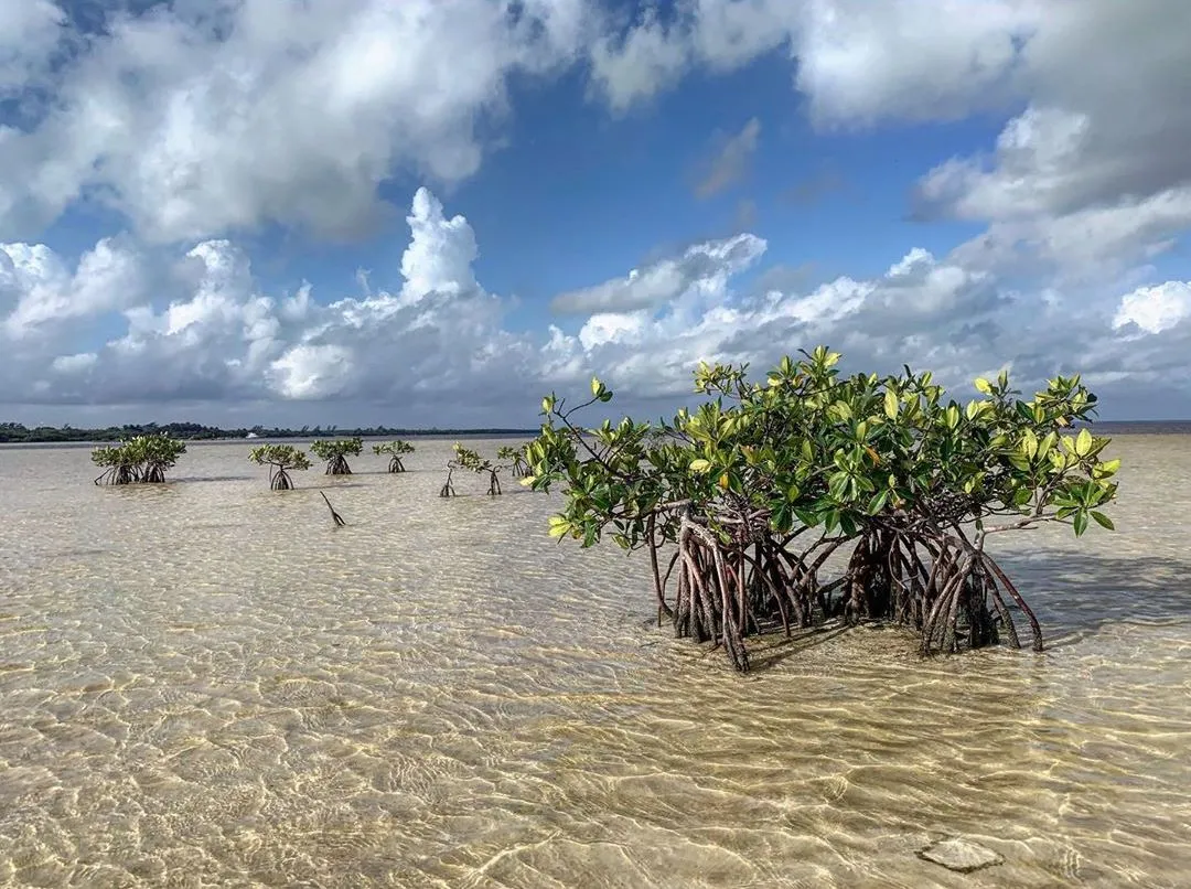 Isla Blanca Isla Blanca