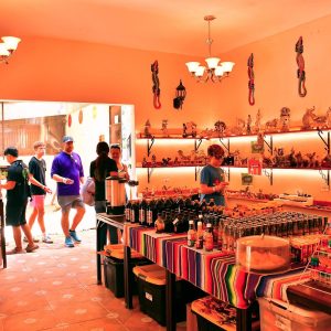 Cancun ATV Jungle Adventure, Ziplines, Cenote and Tequila Tasting