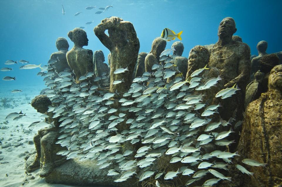 Snorkeling at MUSA Snorkeling at MUSA