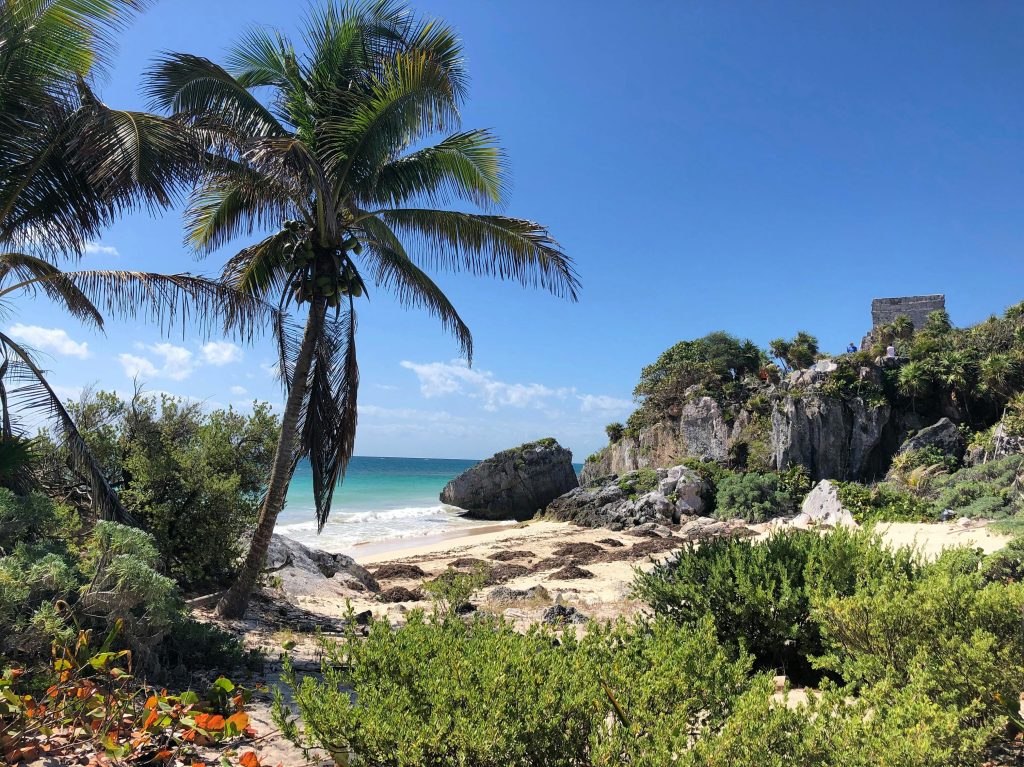 Riviera Maya: Where the Jungle Meets the Sea