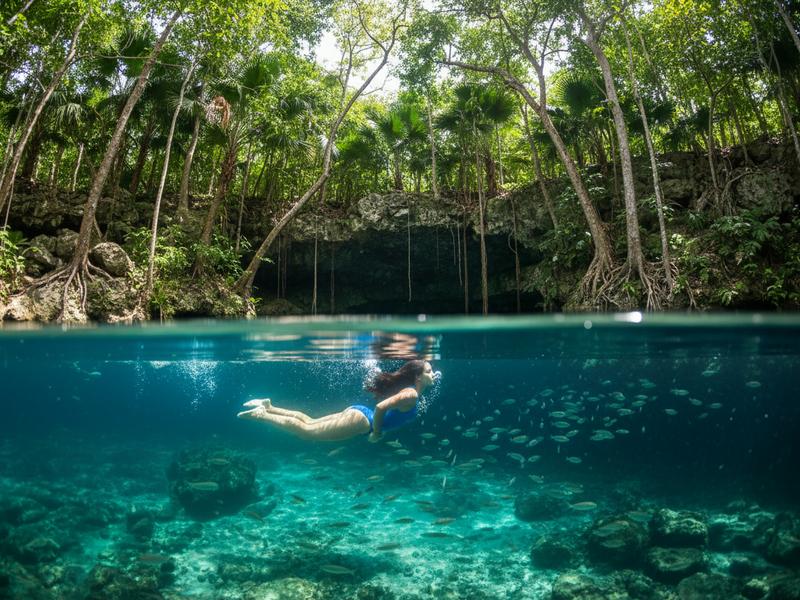 Swimming in a Sacred Cenote Swimming in a Sacred Cenote