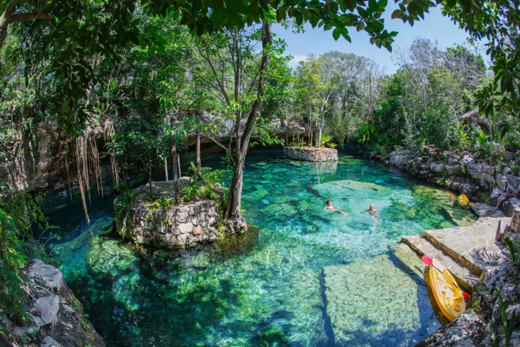 Cenote Route in Puerto Morelos Cenote Route in Puerto Morelos