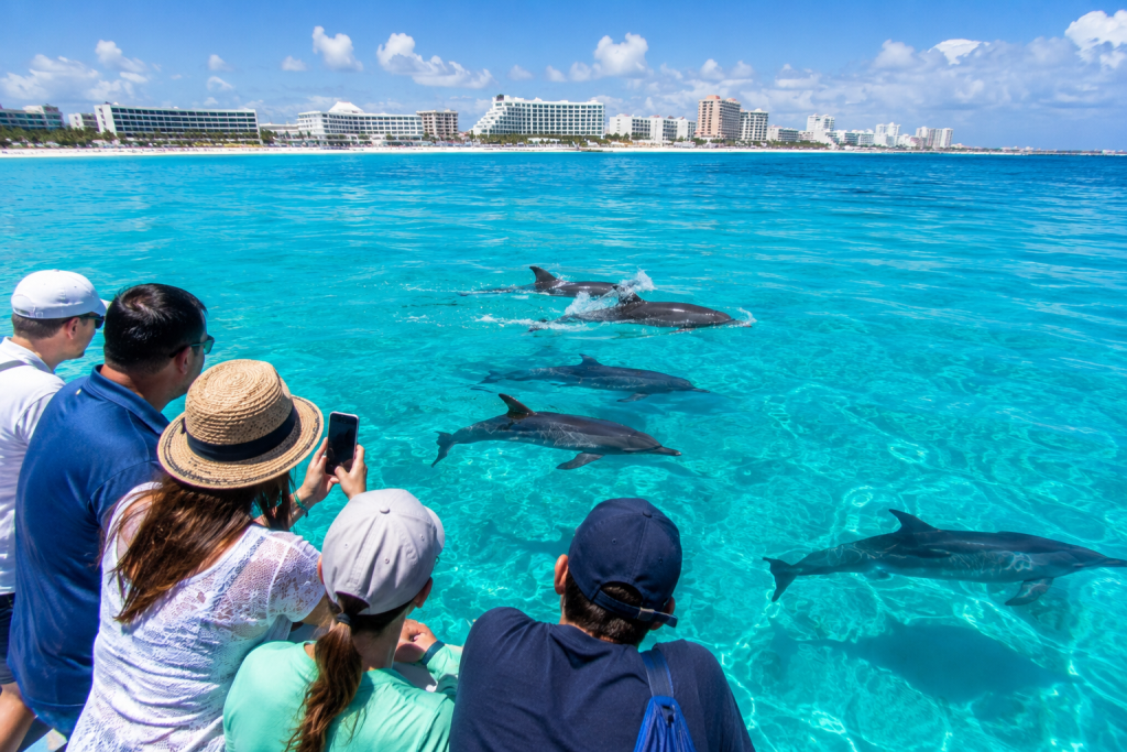 You might spot playful dolphins jumping in the boat's wake, or even see schools of flying fish launching themselves across the surface.