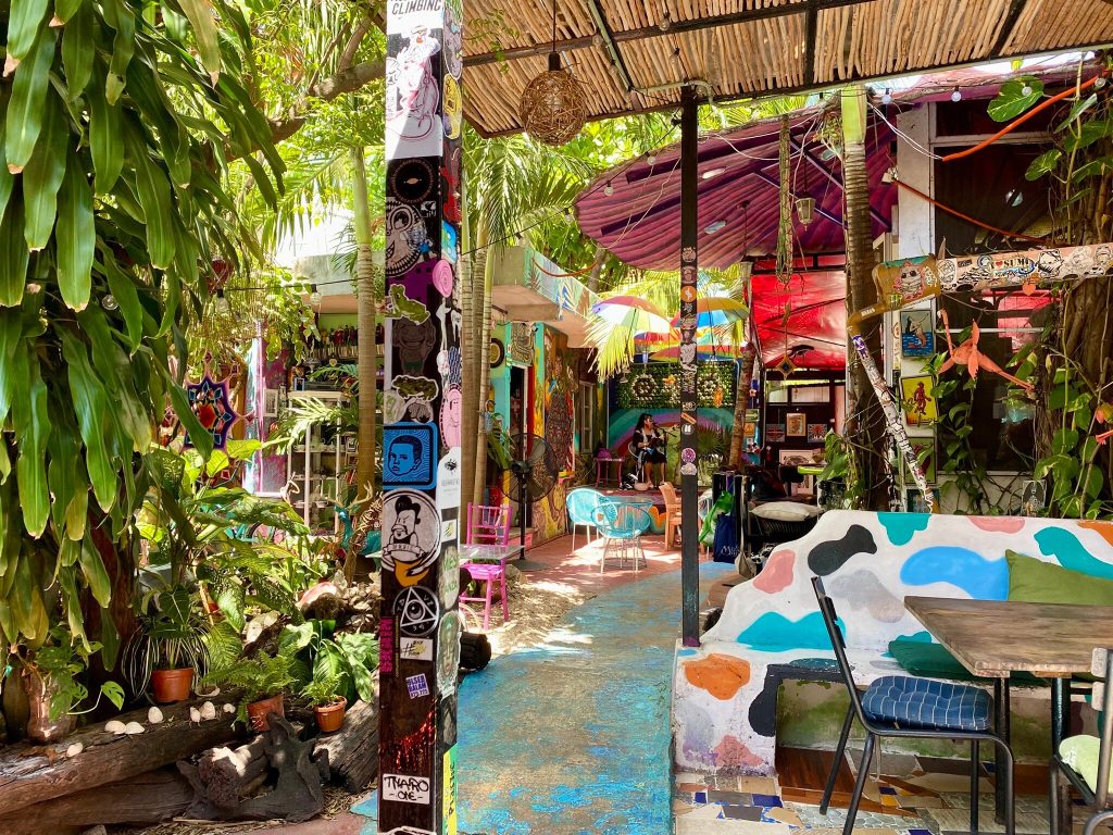 El Hongo is a Mexican and Latin cuisine restaurant, known for its artistic and cozy atmosphere and its strong commitment to the local community.